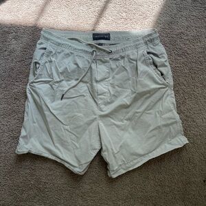 American Eagle Flex Shorts